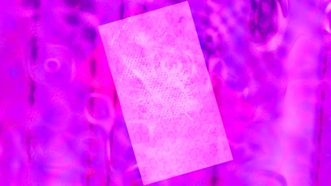 Abstract Dynamic Geometric Motion Видео 341974657