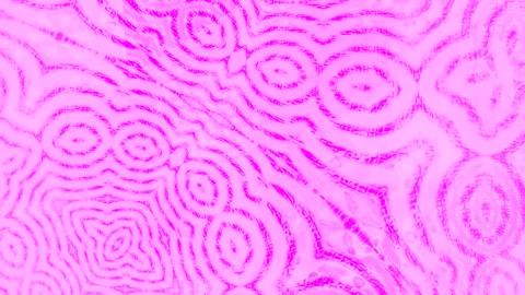 Abstract Dynamic Geometric Motion 库存影片 342027441