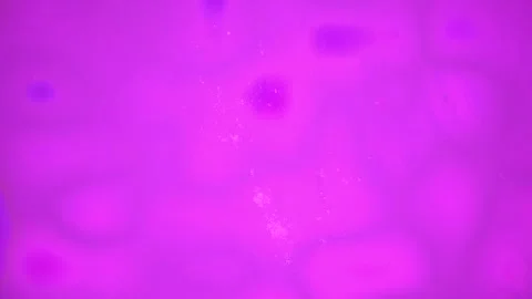 Abstract Dynamic Geometric Motion Видео 342085839