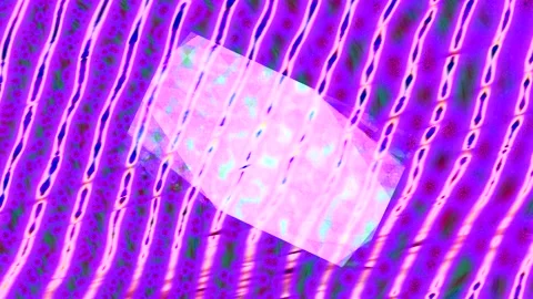 Abstract Dynamic Geometric Motion Stock Footage 342091761