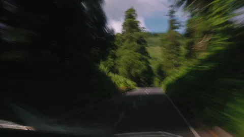 Abstract Dynamic Motion Blur of an Asphalt Road Cutting Through a Dense Green Видео 334665639