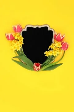 Abstract Easter Flower Chalkboard Background Frame Stock Photos