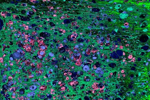 Abstract Ebru Marbling Abstract Background Stock Photos