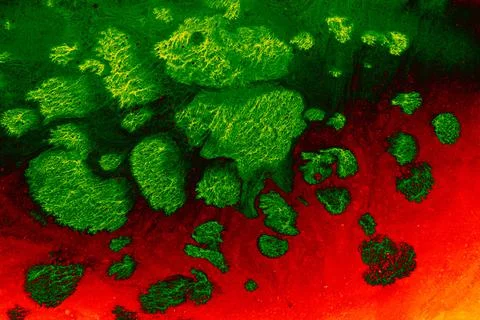 Abstract ebru marbling texture background design. Stock Photos