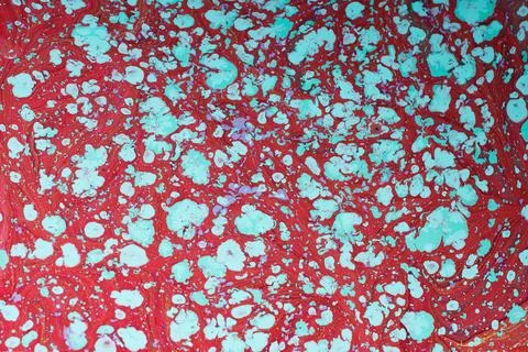 Abstract ebru marbling texture background design. Stock Photos