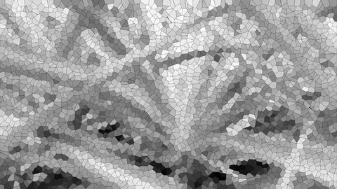 Abstract effect white black tones background. Photo of pineapple leaves. Stock Illustration