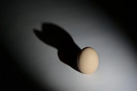 Abstract egg with duck shadow Stock Photos