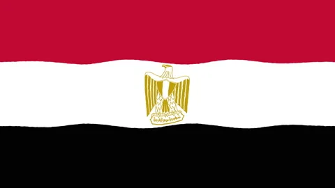 Abstract Egypt Flag Wavy Motion Background with Seamless Ripple Distortion Stock Footage 204005308