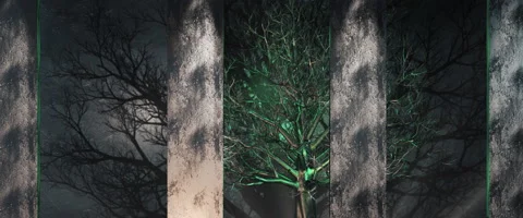 ABSTRACT ELEGANT FOREST SCENE ANIMATION WITH COLUMNS Stock Footage 156520638