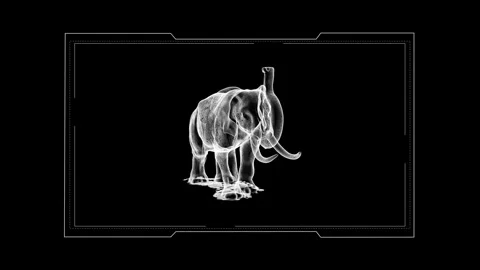 Abstract Elephant X-Ray Visuals Show Artistic Animal Anatomy 库存影片 343218438