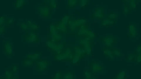 Abstract emerald green glowing background loop for mystical energy, magic, .. Stock-Footage 336766930