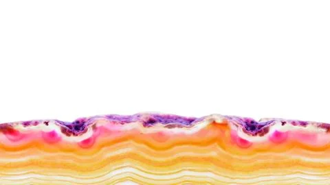 Abstract endless background, red orange agate slice striped mineral isolated  Stock Photos