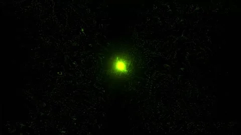 Abstract energy explosion particles bubble cells green dots glowing. 4K Stock Footage 287901595