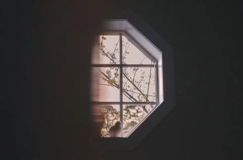 Abstract Evening Light Stock Photos