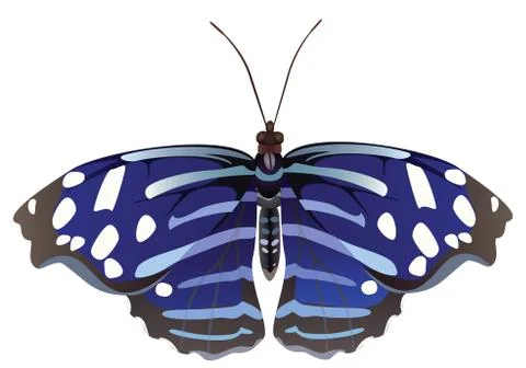 Abstract exotic butterfly. Stock Illustration