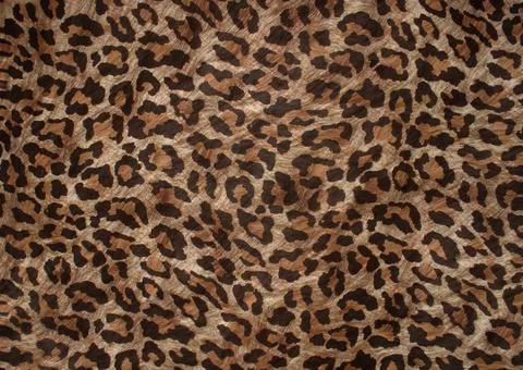 Abstract exotic leopard skin texture Stock Illustration