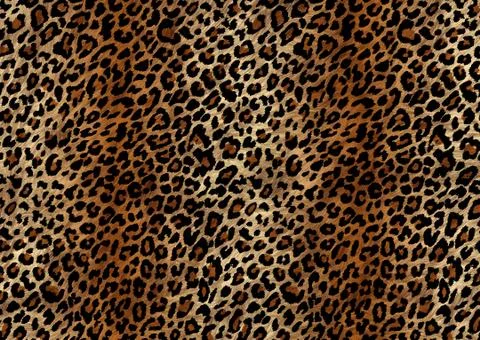 Abstract exotic leopard skin texture Stock Illustration
