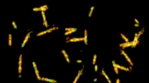 Abstract explosion fire fireworks spark particle,plankton worms microbe line. Video stock 955648