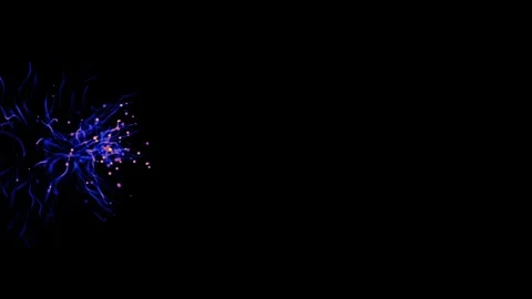 Abstract explosion of shiny pink particles blue light  Stock-Footage 259684784