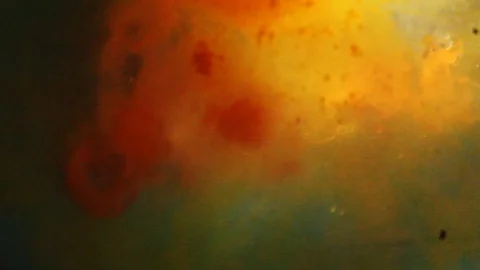 Abstract Explosions Video stock 93861611