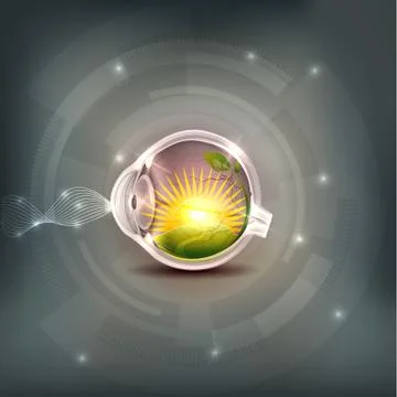 Abstract eye anatomy Stock Illustration