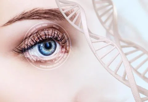 Abstract eye with digital circle and DNA chains. Stock Photos