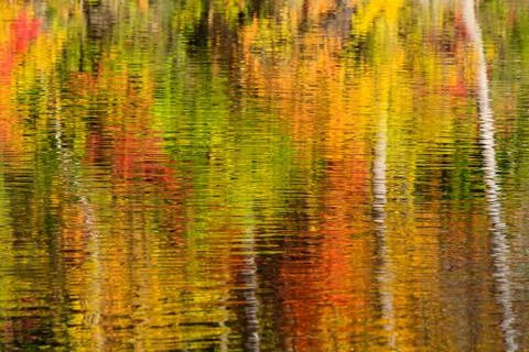 Abstract of fall color reflections Stock Photos