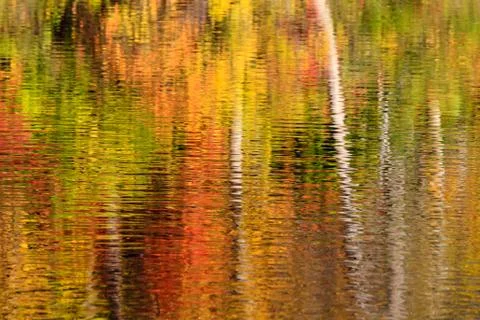 Abstract of fall color reflections Stock Photos