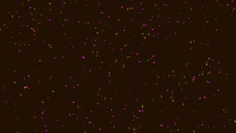 Abstract falling bokeh lights on dark background, magical glitter particle .. Stock Footage 342115249