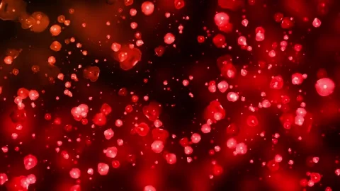 Abstract falling romantic red roses background Stock Footage 251579249