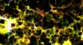Abstract fantasy motion background, shining lights and particles HD Footage