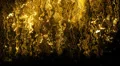 Abstract fantasy motion background, shining lights and particles HD Footage