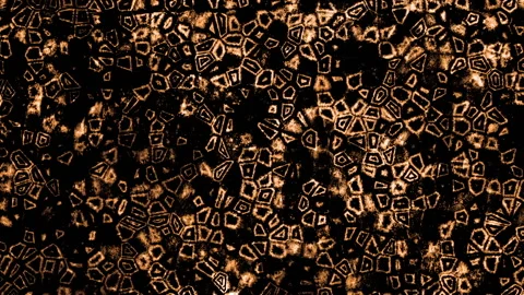 Abstract Fantasy Texture Background Loop Stock Footage 166689327