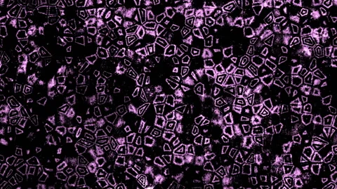 Abstract Fantasy Texture Background Loop Stock Footage 166690675