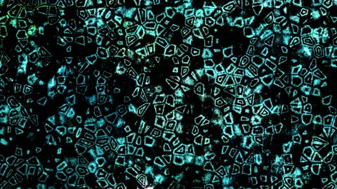 Abstract Fantasy Texture Background Loop Stock Footage 166695320