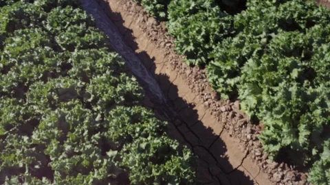 Abstract Farm Water Stock Footage 94643673