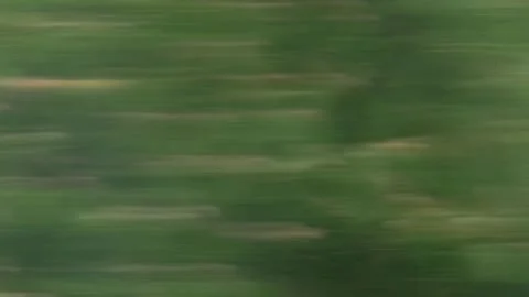 Abstract fast motion blurred green grass and foliage landscape Vidéo 331706828