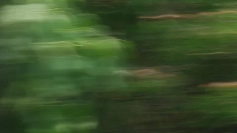 Abstract fast motion blurred green grass and foliage landscape 库存影片 335069186