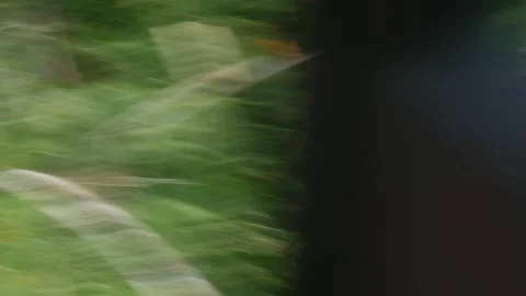 Abstract fast motion blurred green grass and foliage landscape 库存影片 335069187