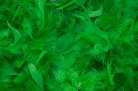 Abstract Feather Background Stock Photos