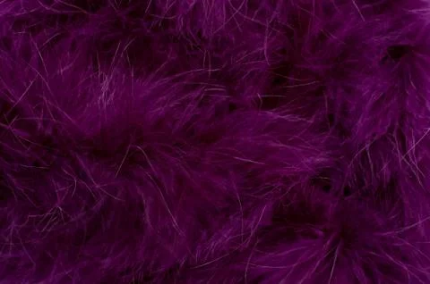 Abstract Feather Background Foto stock