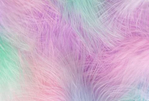 Abstract feather rainbow background. 写真素材