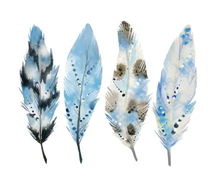 Abstract feather set. Design for a invitation, greeting, card, postcard, textile Stock Illustration