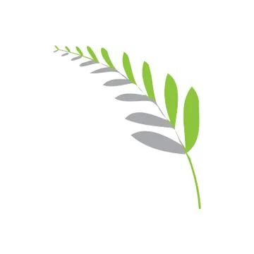 Abstract fern leaf icon Stock Illustration