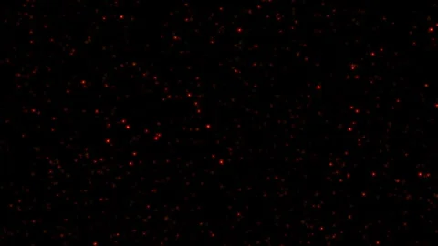 Abstract field of small red glowing particles scattered on a dark background 動画素材 289133637