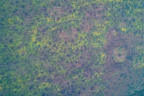 Abstract field texture with mottled green and purple soil patterns and rough Stock Photos