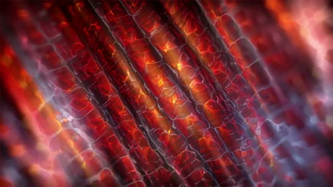 Abstract Fiery Motion Background Stock Footage 97816618