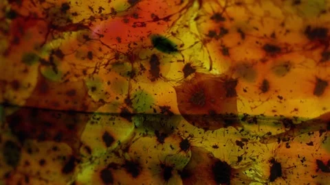 Abstract Fiery Pattern. Green yelow orange beckground. 動画素材 310765745