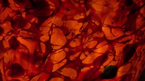 Abstract Fiery Pattern. Red beckground. Stock Footage 310711862