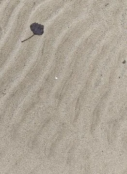 Abstract fine sand texture background with natural soft ripple pattern Fotos de archivo